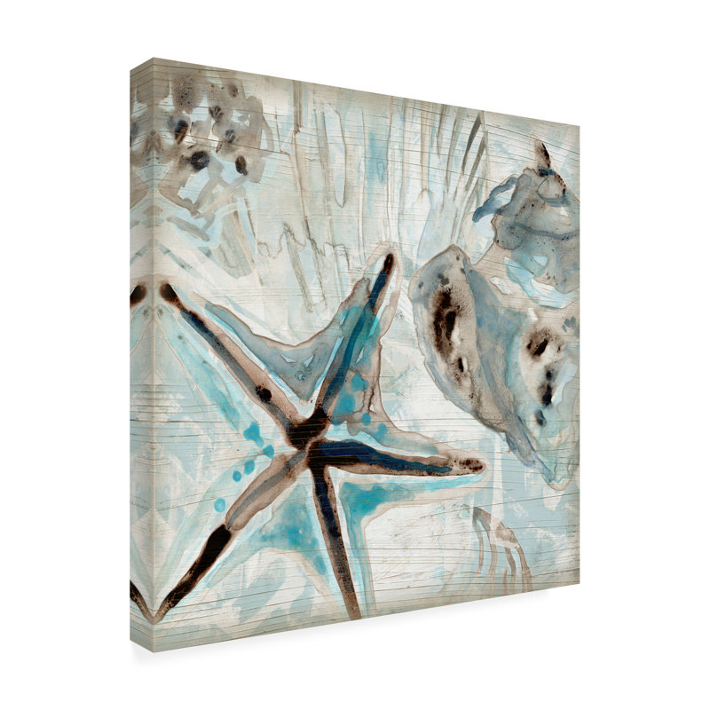«Driftwood Shell Collage Ii», reproduction sur toile, H 35 po x l 35 po x P 2 po