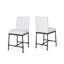 Counter Stool( Set Of 2 )