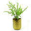 Annelies Arrangement