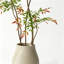 Plantes artificielles réalistes pour la décoration intérieure