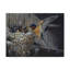 Berrien «Country Barn Swallows», reproduction d'impression sur toile tendue-27647057