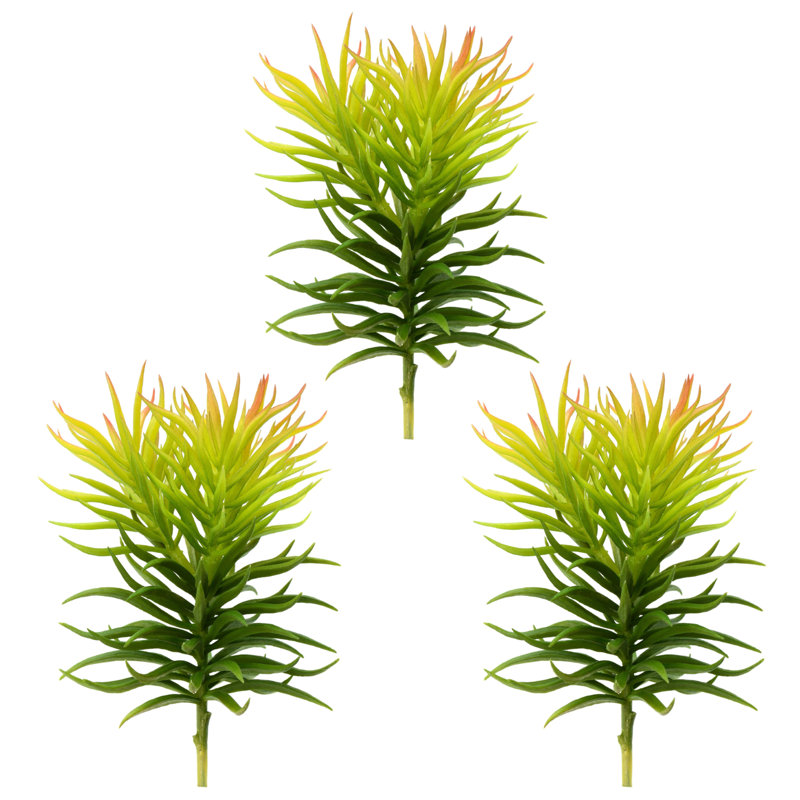 Vaporisateur artificiel Crassula Tetragona