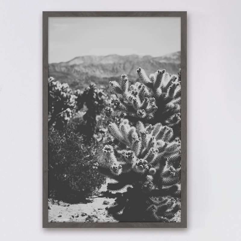 Chollo Cactus 1 Piece Single Picture Frame Wall Art, 91cm H x 61cm W x 4cm D
