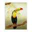 «One Toucan on Branch», art mural par Christine Reichow-925866034