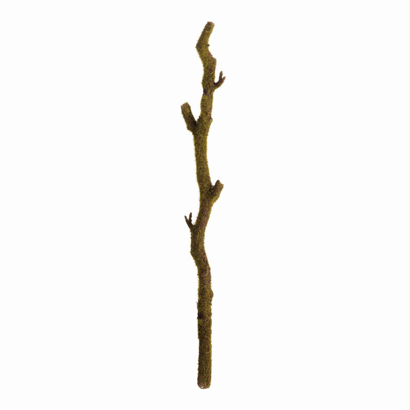 BRANCHES MOUSSE 24 po, ENSEMBLE DE 2