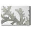 Stone Macro Coral II-Gallery, toile tendue-1592322280