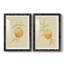 «Dappled Oranges III», reproduction de photo sur toile 2 pièces-301049210-301049208