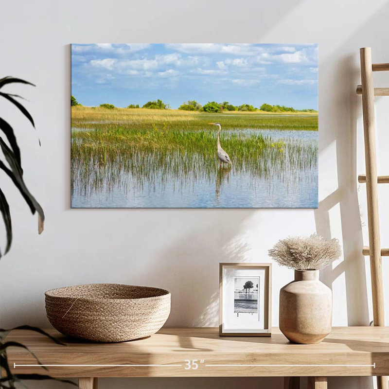 Alvord Bird In Everglades National Park, 16" H x 24" W