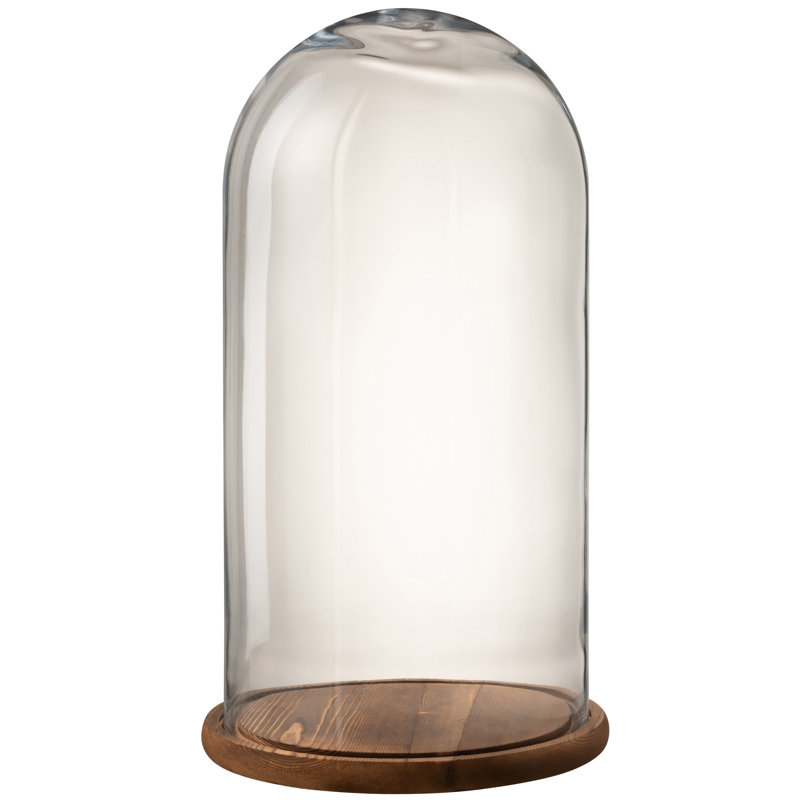 Gaviota Cloche Or Water Globe, Brown, 60.5cm H x 33.5cm W x 33.5cm D
