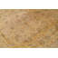 Silk Oriental Area Rug in Beige
