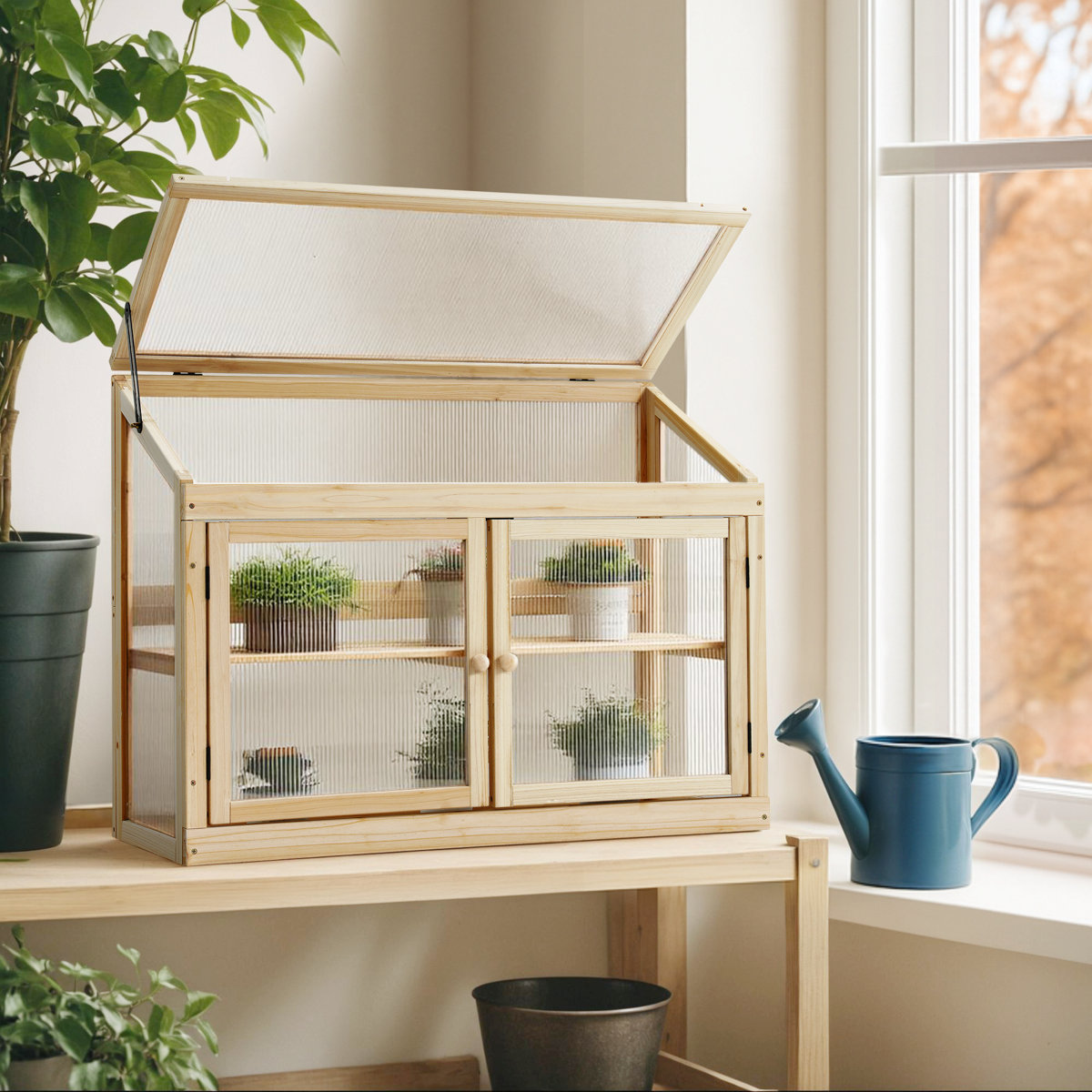 Wooden Cold Frame Garden Greenhouse