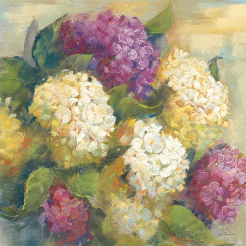 «Hydrangea Delight II» par Carol Rowan, reproduction d'art sur toile tendue, H 12 po x l 12 po