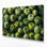 Art mural sur toile vert légumes Tomatillo