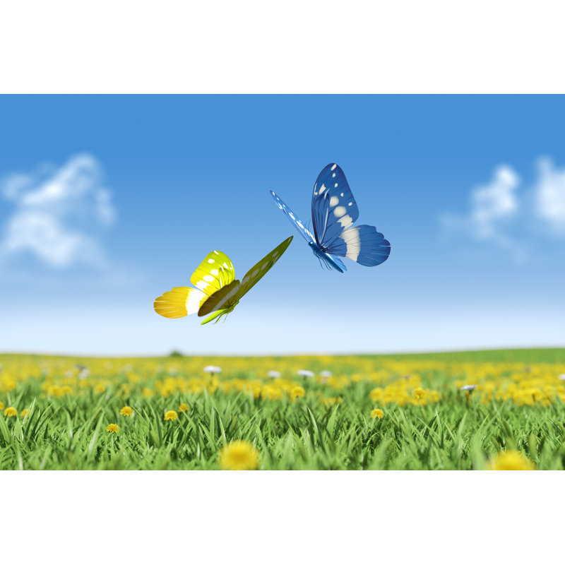 Clareta Couple Of Butterflies - Wrapped Canvas Print, 30cm H x 46cm W x 3.8cm D