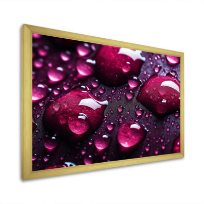 " Red Rose With Raindrops VIII "