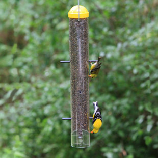 Mangeoire d’oiseaux à tube Finch