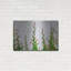 «Vine» par Dennis Frates-42070990