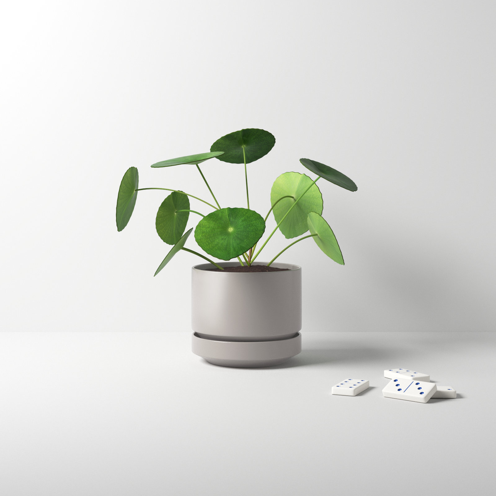 Byer Ceramic Pot Planter, Gray, 4.25" H x 5" W x 5" D