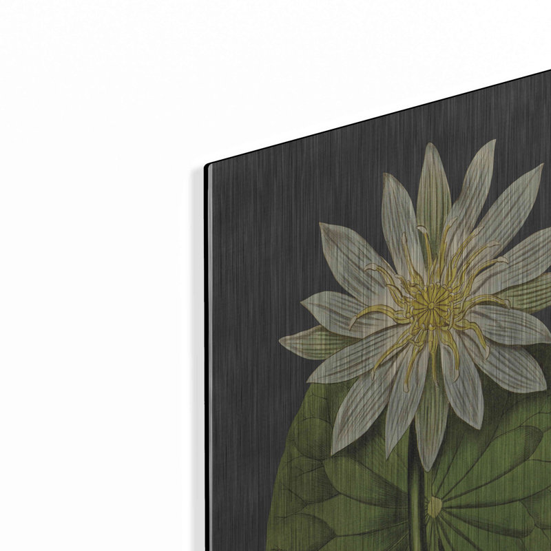 " Lily " by Lettered & Lined