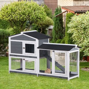 Sturdy Spacious hot sale chicken trap cage for Varied Animals