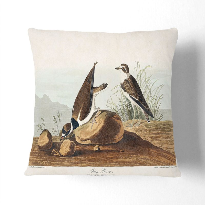 Square Throw Cushion, Black, 55cm H x 55cm W x 20cm D