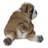 Lying Bulldog Pup