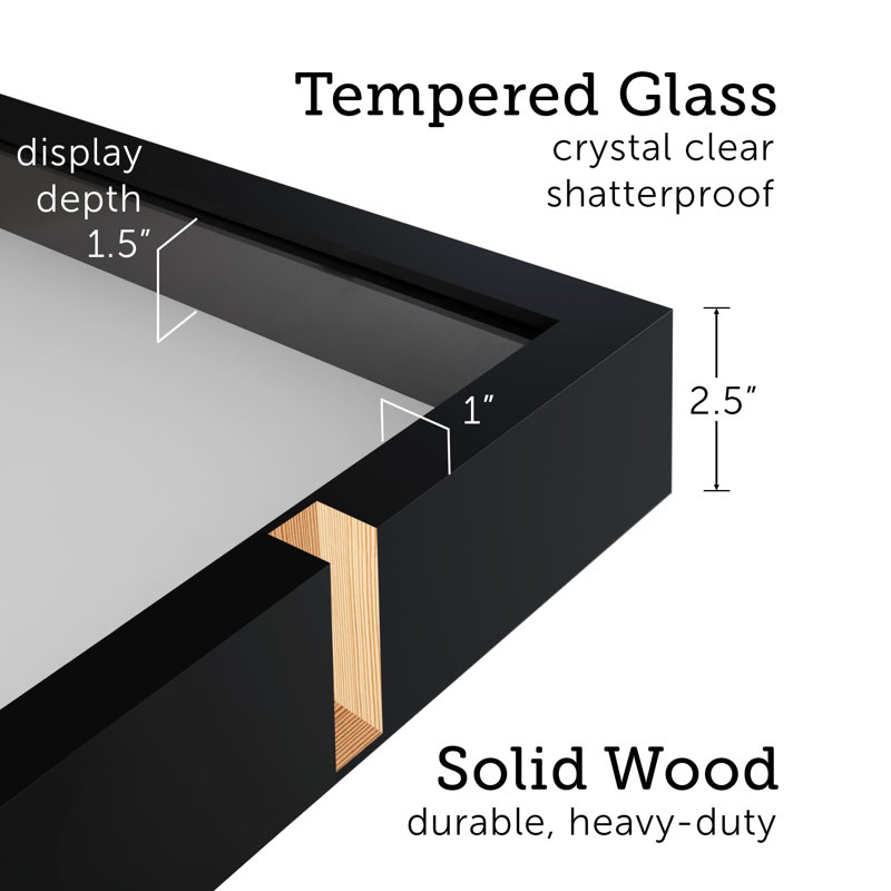 20X30 Black Shadow Box Frame, Tempered Glass Front And Solid Wood Border, 2.5 Inch Thick, Display Case For Items Or Posters