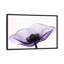 «Anemone II» par Robert Coop - reproduction de photo-49902753-53128237