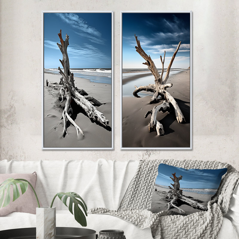 «Beach Driftwood Photo», 2 pièces sur toile, Cadre blanc, H 40 po x l 40 po