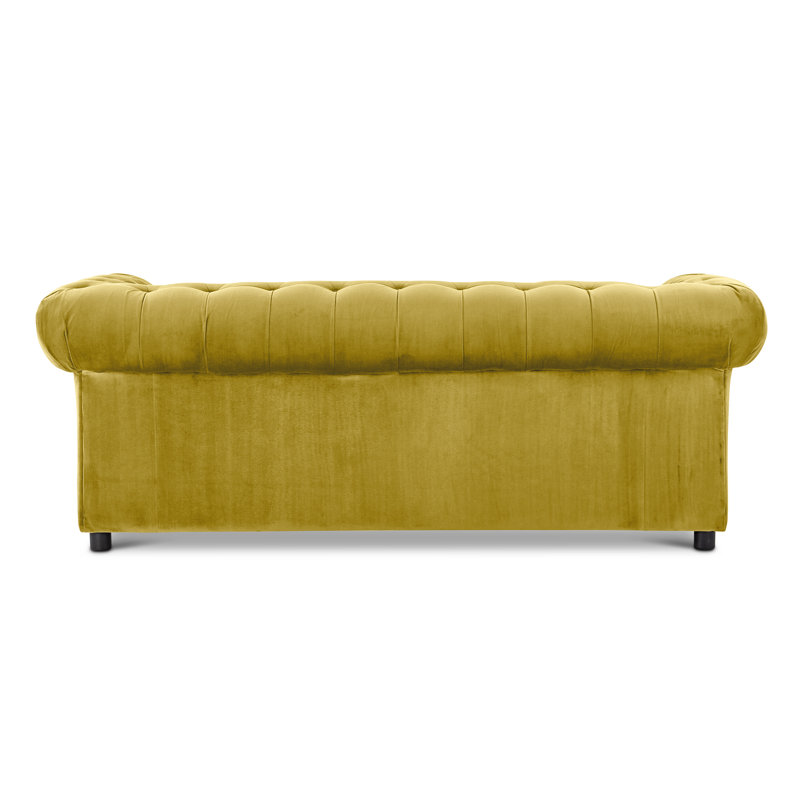 Aaron 2 - Piece Velvet Living Room Set, Mustard