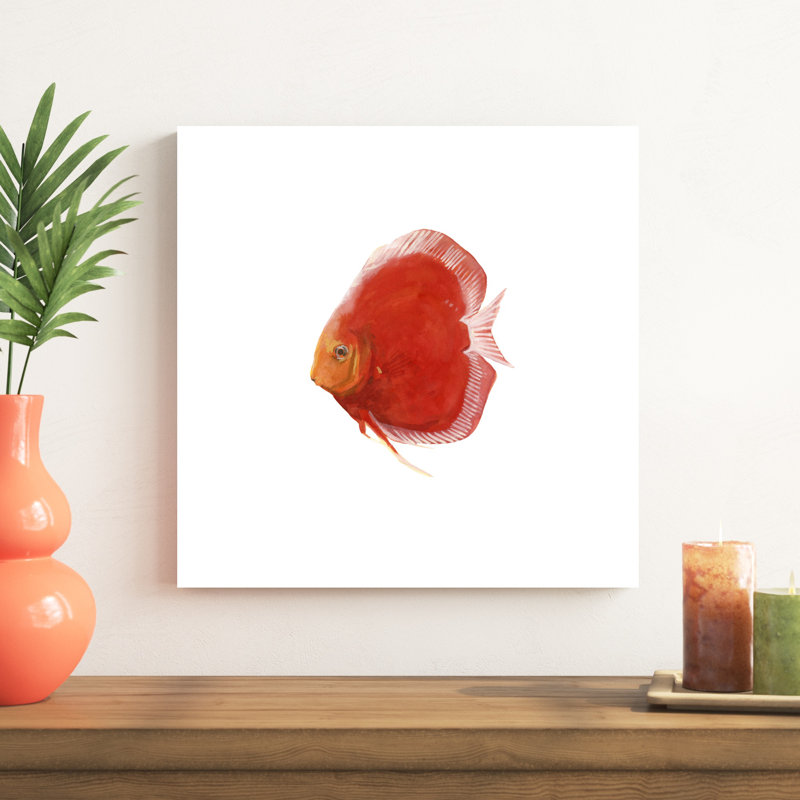 " Discus Fish V " by Emma Scarvey, 20" H x 20" W x 1" D