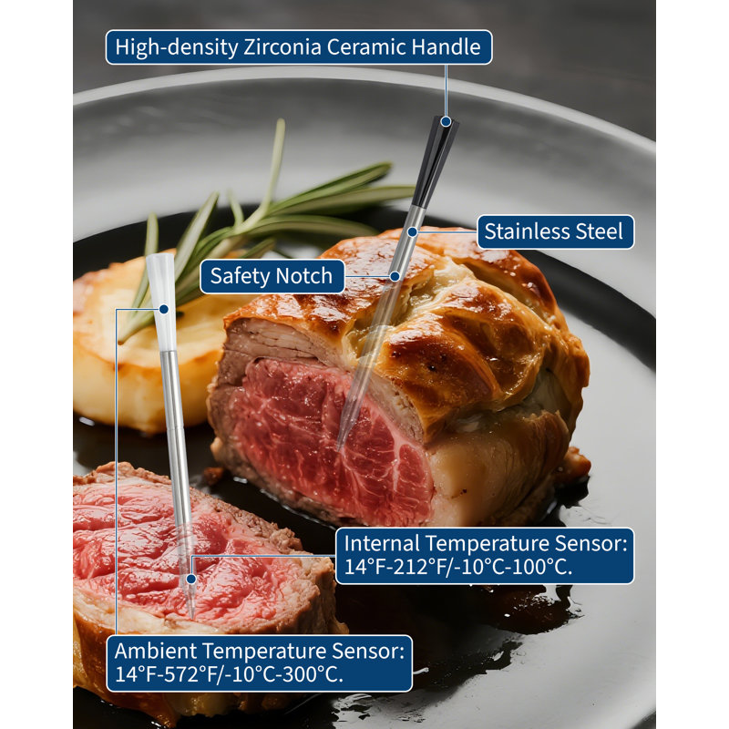 Thermomètre à viande sans fil Bluetooth, thermomètre intelligent pour aliments avec double sonde