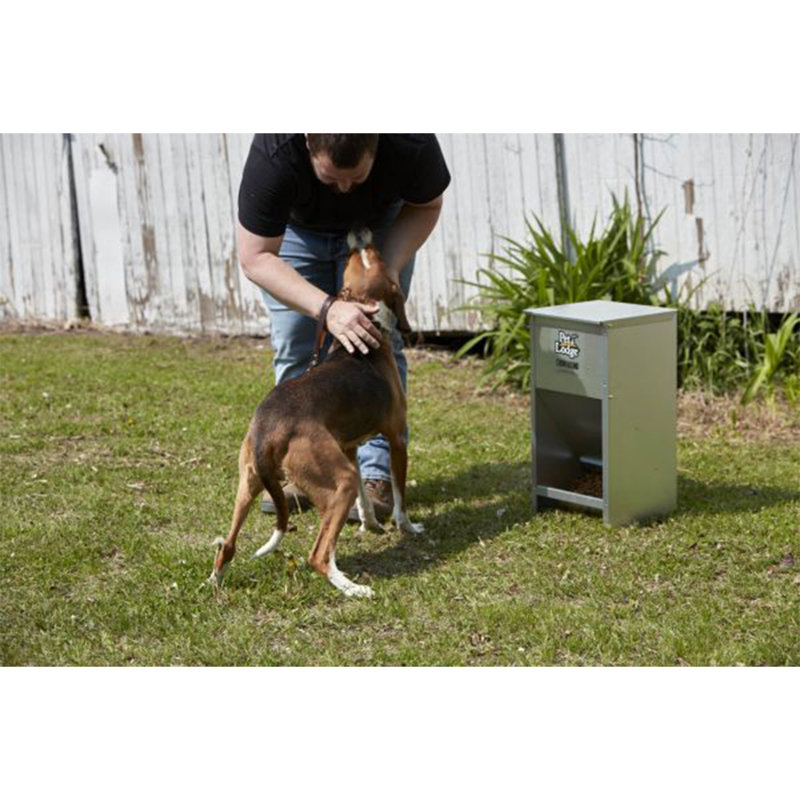 Pet Lodge Galvanized Steel Automatic Dog Feeder, 25 lb Capacity
