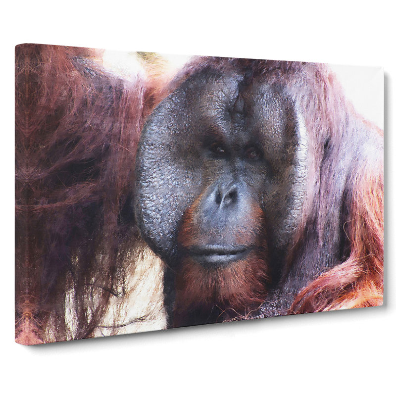 Orangutan Monkey Vol.2 - Wrapped Canvas, 40cm H x 60cm W x 3cm D