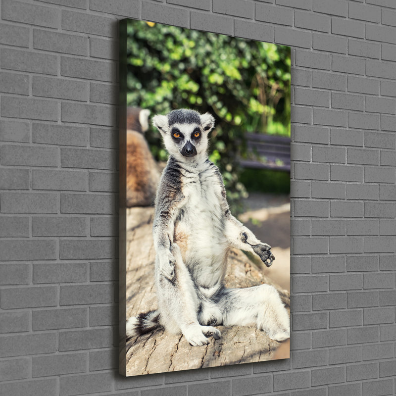 Lemur - Wrapped Canvas Print
