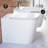 Concorde Back-To-Wall Toilet Bundle 0.8/1.6 GPF Dual Flush In Glossy White With Flush Plate-108927938