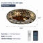 Ventilateur de plafond réversible en cage 20 po avec ensemble d'éclairage et télécommande Farmhouse