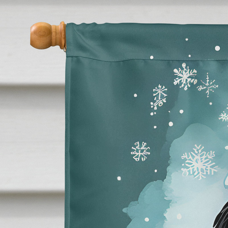 Drapeau en polyester à 2 côtés, H 40 po x l 28 po