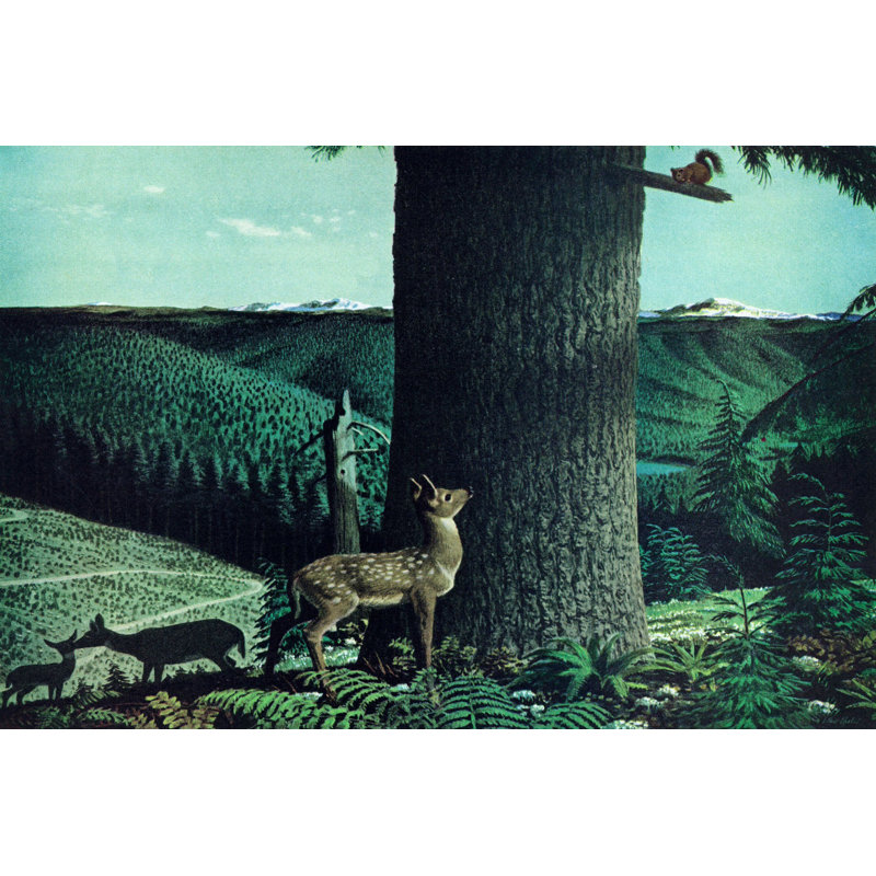 Fawn And Squirrel - Wrapped Canvas Print, 61cm H x 91cm W x 3.81cm D