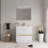 Freestanding Bathroom Vanity with Sink