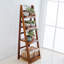 Hinkson Direct Rustic Wooden Foldable Ladder Shelf for Plants-1642421301-1642421302