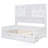 Wooden Daybed with 2 Drawers, All-in-One Cabinet, and Shelf-18418860-18418863