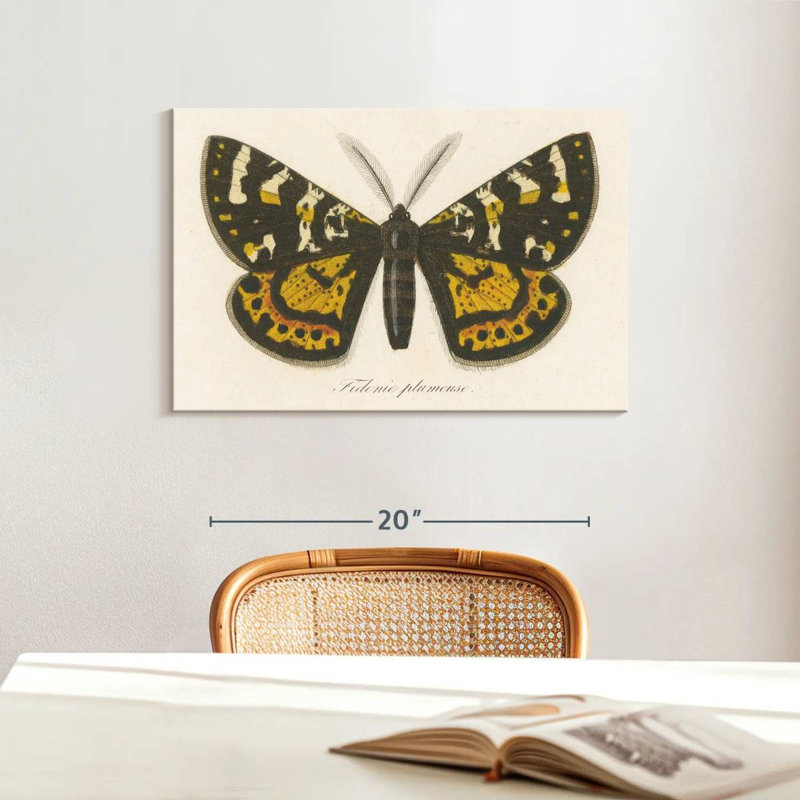 Brampt Natures Butterfly V, 16" H x 24" W