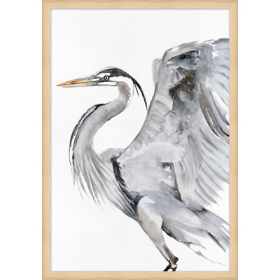 Ardeidae 1 Print by Thom Filicia