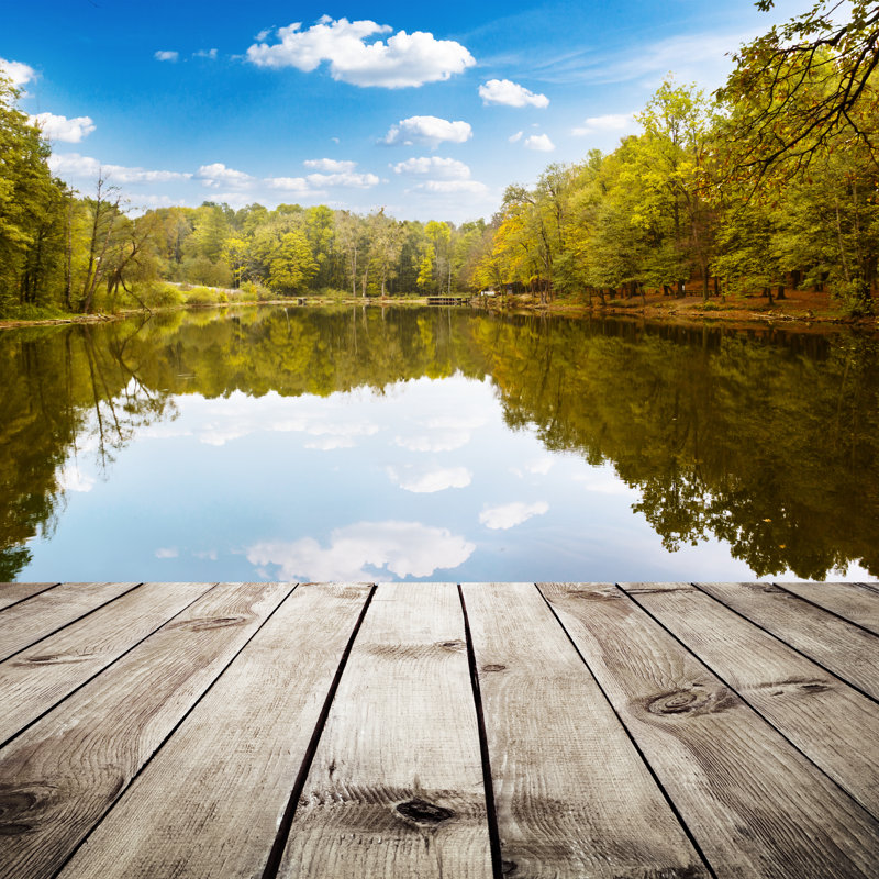 Forest With Lake - Wrapped Canvas Print, 91cm H x 91cm W x 3.8cm D