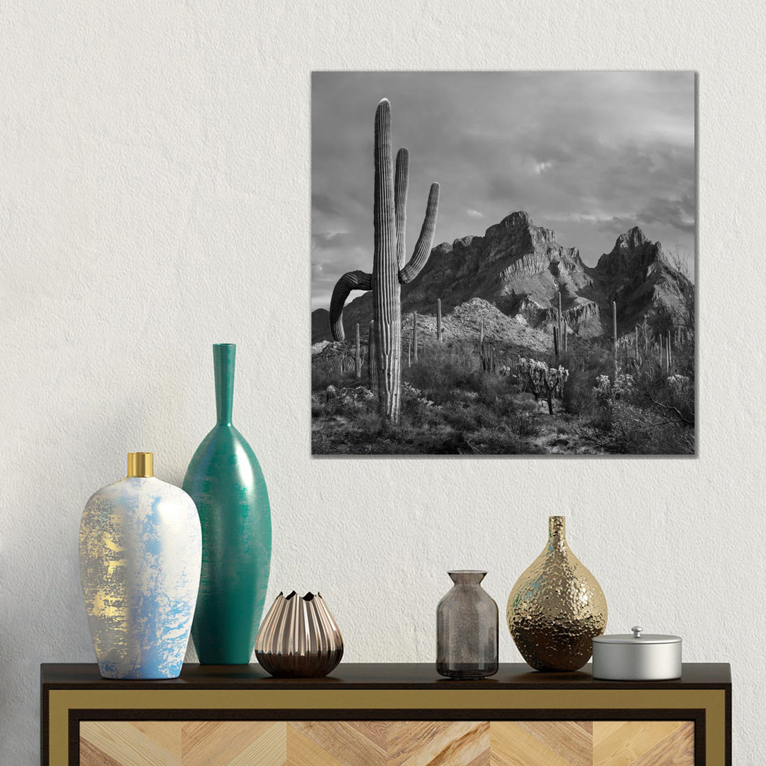 Saguaro Kakteen, Ajo Mountains, Organ Pipe Cactus National Monument, Arizona von Tim Fitzharris - Galerie-verpackte Lein...