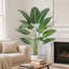 Plant-1534334906-1534334907