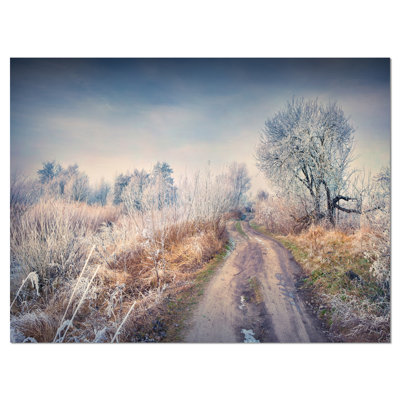 " First Frost In Forest "