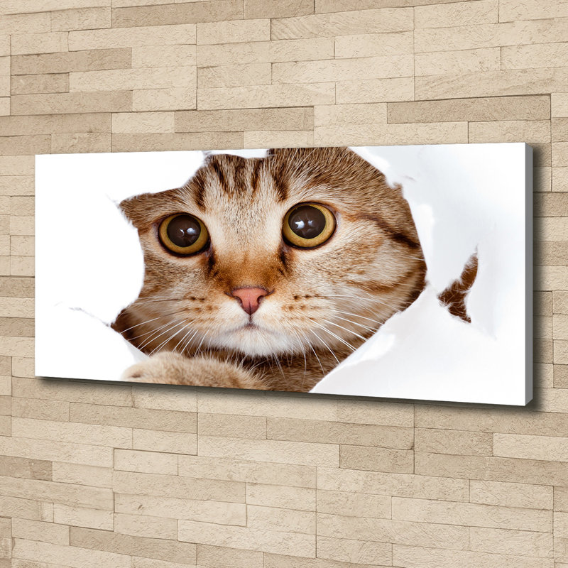 Cat - Wrapped Canvas Print