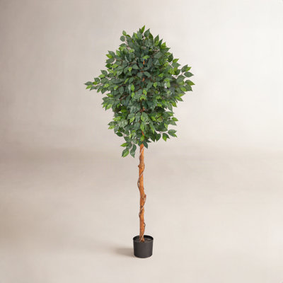 Faux Ficus Tree in Planter